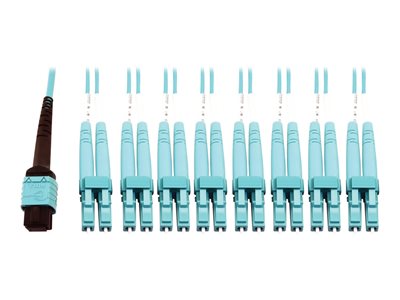Tripp Lite 400G MTP/MPO Multimode OM4 Plenum-Rated Fiber Breakout Cable, 24F MTP/MPO-PC to (x8) LC Duplex-PC, Aqua, 3M