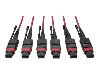 Tripp Lite 24-Fiber MTP MPO OM4 Base-8 MMF Trunk Cable 40/100GbE 3X, 11M