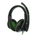 TWT Audio Victory 250XG