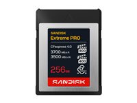 SanDisk Extreme PRO - flash memory card