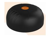 Poynting Antennas MIMO-4-4 Antenne Stangmontering Monterbar på overflade Indendørs / udendørs Magnetisk monterbar Klæbende montering Til montering på væg Sort