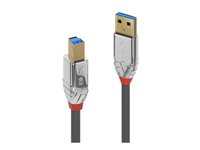 C ble USB 3.2 Type A vers B, 5Gbit/s, Cromo Line, 1m