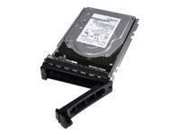 DELL 341-9528 1TB 7.2K 3.0GBPS SAS / SERIAL ATTACHED SCSI HDD
