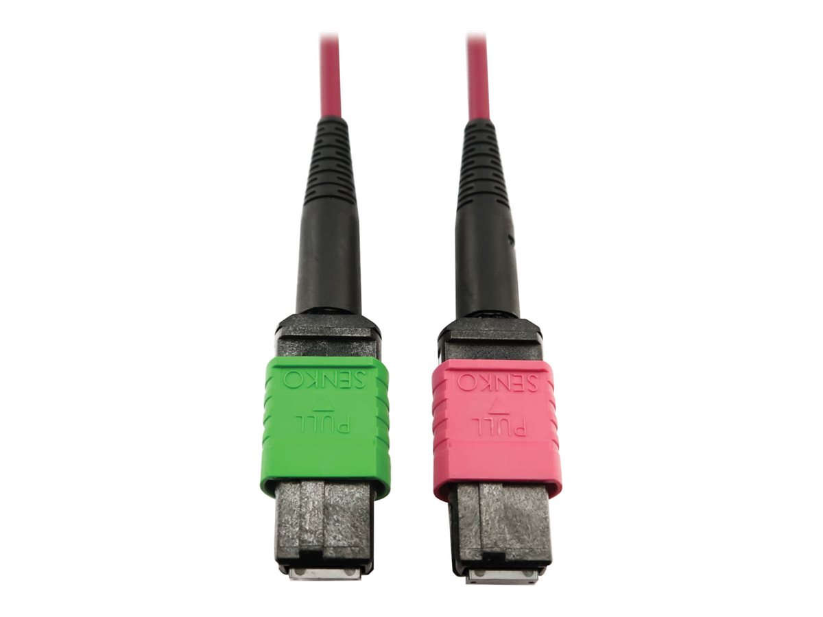 Eaton Tripp Lite Series 400G Multimode 50/125 OM4 Plenum Fiber Optic Cable, 16F MTP/MPO-APC to MTP/MPO-UPC (F/F), Magenta, 3 m