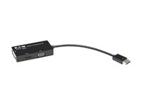 EATON TRIPPLITE DisplayPort to VGA/DVI