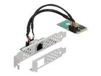 DeLock Mini PCIe I/O PCIe full size 1 x RJ45  LAN Netværksadapter PCI Express Mini Card 1Gbps