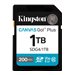 Kingston Canvas Go! Plus