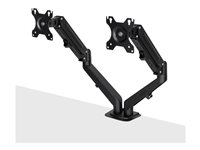 Lindy mounting kit - for 2 LCD displays - dual - black