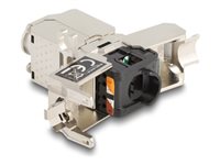 DeLOCK CAT 6a Afskærmet parsnoet (STP) Netværkskobling Sølv