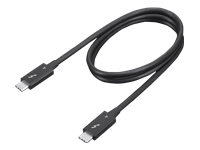 Lenovo - Câble Thunderbolt - 24 pin USB-C (M) pour 24 pin USB-C (M) - Thunderbolt 4 