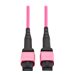 Eaton Tripp Lite Series 100G Multimode 50/125 OM4 Fiber Optic Cable (12F MTP/MPO-PC F/F), OFNP, Magenta, 2 m (6.6 ft.), TAA