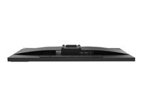 Lenovo ThinkVision E29w-20