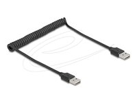 Delock USB-kabel 80cm Sort