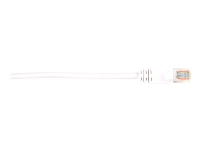 Black Box - Patch cable