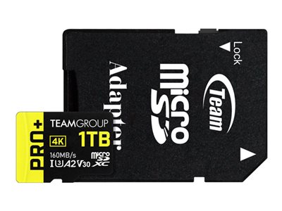 Team PRO+ - Flash memory card (SD adapter included)