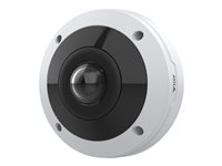 AXIS M43 Series M4317-PLR Netværk panoramisk kamera Fast irisblænder Udendørs 2160 x 2160