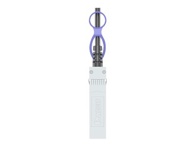 Panduit 10Gig - 10GBase direct attach cable