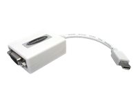 Comprehensive DisplayPort adapter Mini DisplayPort (M) 