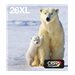 EPSON 3LB Multipack 4clr 26XL EasyMail
