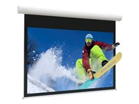 Projecta Elpro Concept RF Wide Format - projection screen - 171.7" (436 cm)