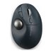 Kensington Pro Fit Ergo TB550 Trackball