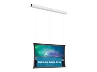 Da-Lite Tensioned DescenderPro projection screen - 125.59" (319 cm)