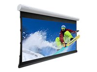 Projecta Elpro Concept RF Wide Format - projection screen - 107" (271 cm)