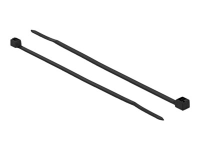 DELOCK Kabelbinder kälteresistent L100xB2,5mm schwarz 100STK - 19186