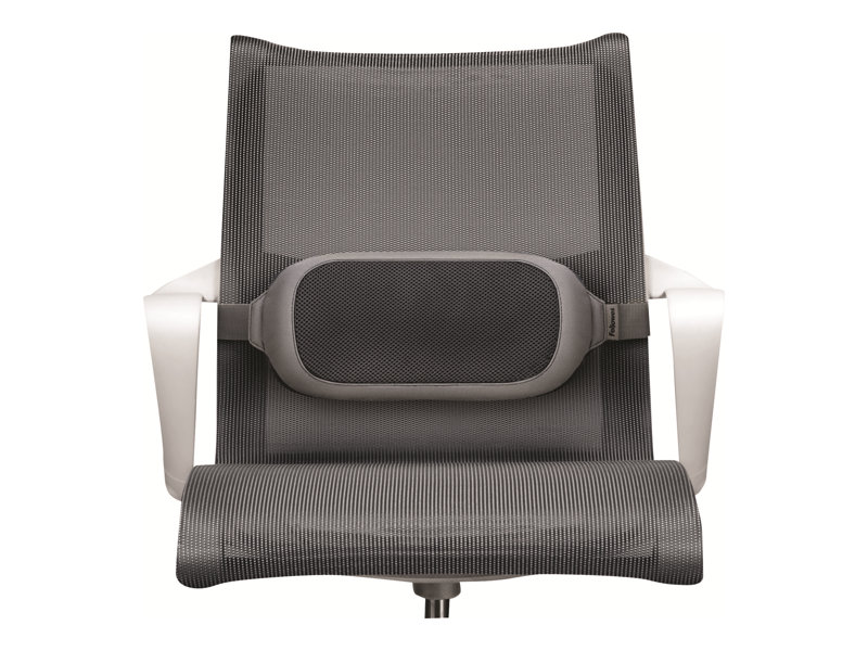 FELLOWES i-spire coussin lombaire
