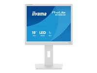 iiyama ProLite B1980S-W1 19' TN 1280 x 1024 HDMI DisplayPort 75Hz