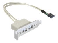 DeLOCK USB 2.0 USB-kabel 50cm