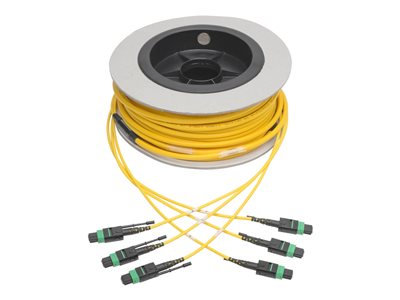 Tripp Lite MTP/MPO (APC) Singlemode Slim Trunk Cable, 24-Strand, 40/100 GbE, 40/100GBASE-PLR4, Plenum, 6mm Dual Jacket, 23 m (75 ft.)