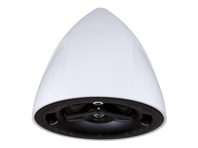 Crestron Saros PD6T - Speaker - for PA system - 12