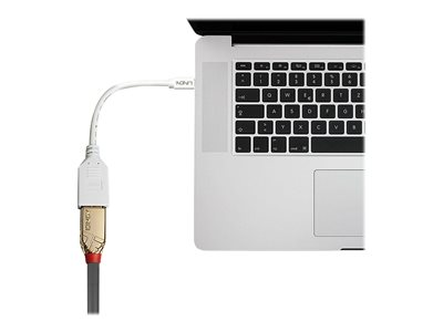 LINDY Adapterkabel Mini-DP M/DP F