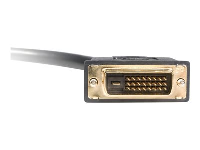STARTECH 30cm DVI-D Video Splitter Cable