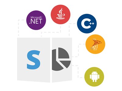 Product Family - Site OEM 1 Year Standard Support Renewal – Aspose