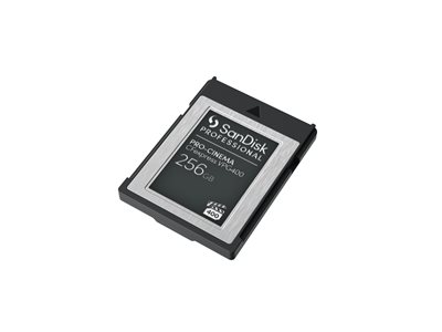 SANDISK Prof. PRO-CINEMA 256GB CFexpres