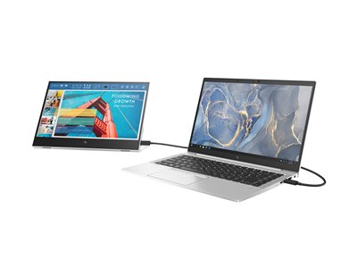 HP E14 G4 IPS FHD 1920x1080 DPA/USB-C Portable Monitor 400cd