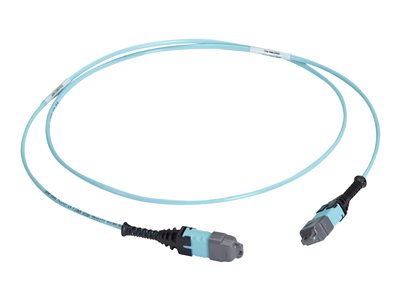 Black Box - Network cable