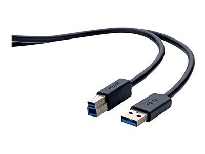 lodret forbruge tankevækkende Belkin SuperSpeed USB 3.0 Cable - USB cable - USB Type A to USB Type B - 6  ft