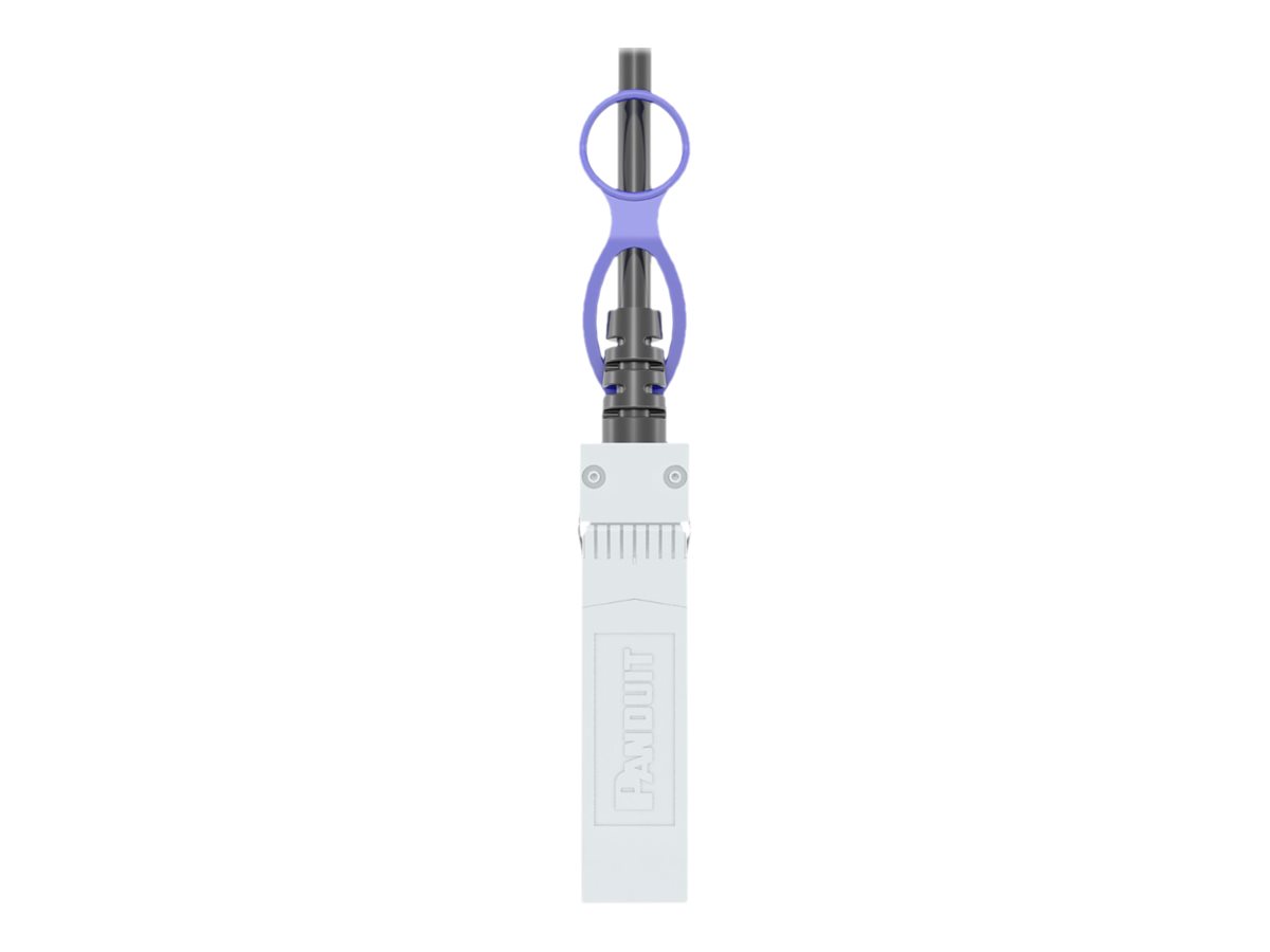 Panduit 10Gig - 10GBase direct attach cable