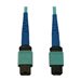 Eaton Tripp Lite Series 40/100/400G Multimode 50/125 OM3 Fiber Optic Cable (24F MTP/MPO-PC F/F), LSZH, Aqua, 3 m (9.8 ft.)
