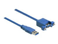 DeLOCK USB 3.2 Gen 1 USB-kabel 25cm Blå