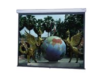 Da-Lite Model C with CSR Wide Format Projection screen ceiling mountable, wall mountable 