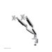 NEOMOUNTS NeoMounts Desk mount 10 - 32p