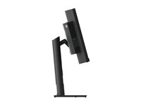 LENOVO T34w-30 34p WQHD VA 21:9 Monitor