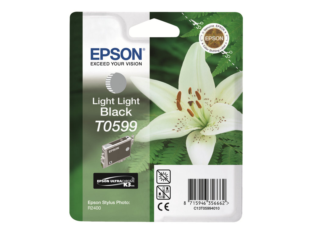 EPSON 5LB T0599 ink cartridge light