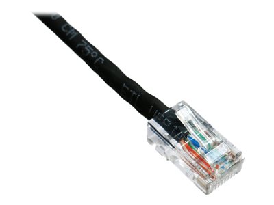 Axiom - Patch cable - RJ-45 (M) to RJ-45 (M)