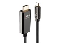 Lindy C�ble et connectique vid�o 43317