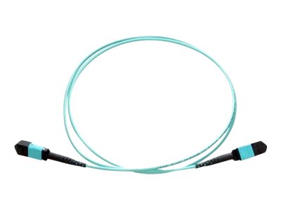 Axiom AX - Network cable